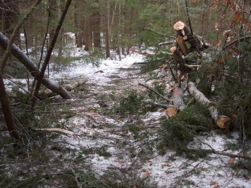 maintained trail in December at Knox and School Forests near Bow in southern New Hampshire