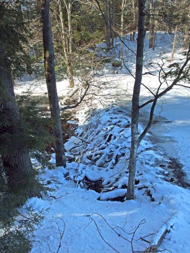 beaver dam in December at Kuncanowet Town Forest near Dunbarton, New Hampshire
