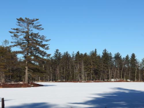Stinson Mill Pond in December at Kuncanowet Town Forest near Dunbarton, New Hampshire