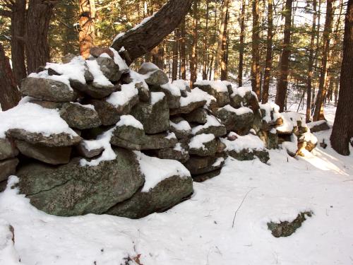 stone wall in December at Kuncanowet Town Forest near Dunbarton, New Hampshire