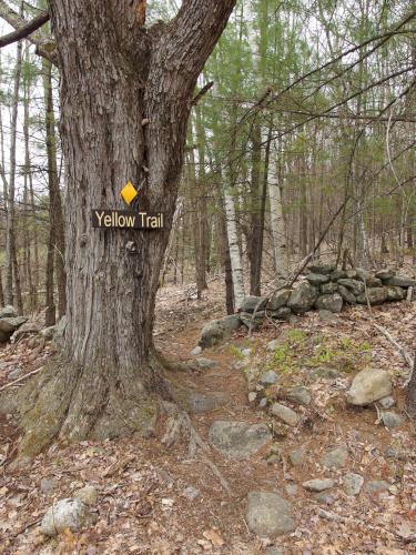 Yellow Trail start at Lamson Farm in southern New Hampshire