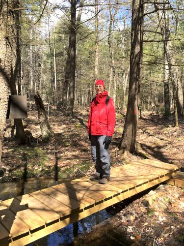 foot bridge in April at Langenau Forest in New Hampshire