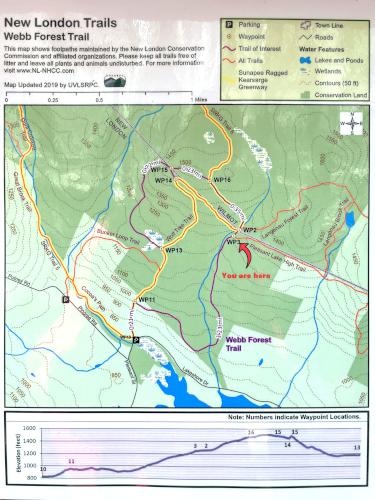 New London Trails map near Langenau Forest in southern New Hampshire