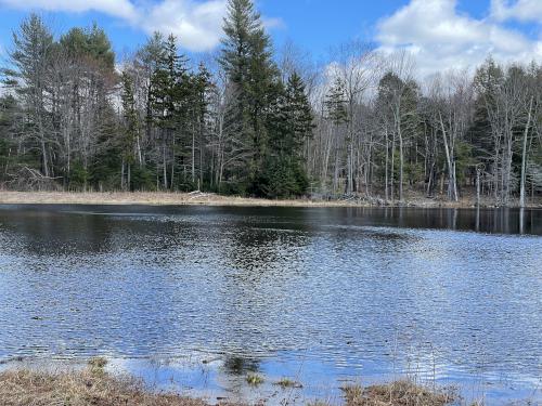 pond in April at Langenau Forest in New Hampshire