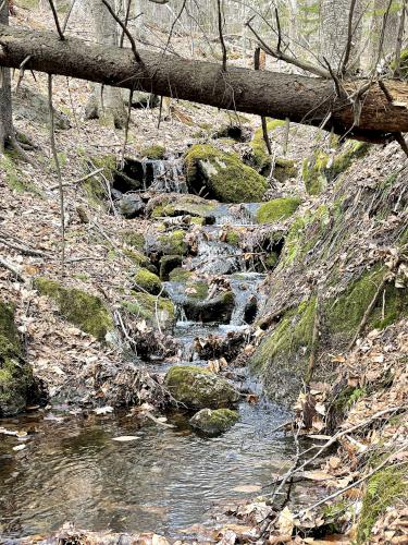 stream in April at Langenau Forest in New Hampshire