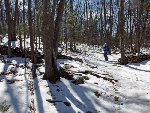 snowy trail in March at Mt. Lebanon Property at Pepperell in Massachusetts