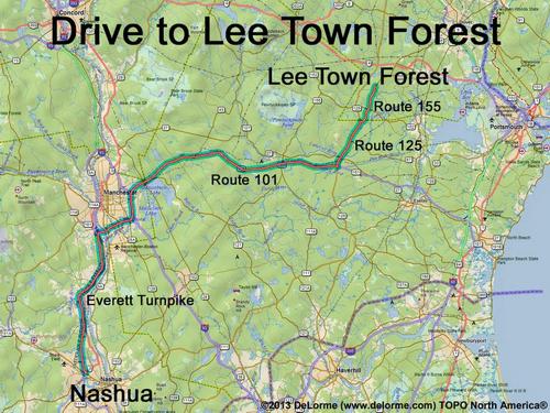 Lee Town Forest drive route