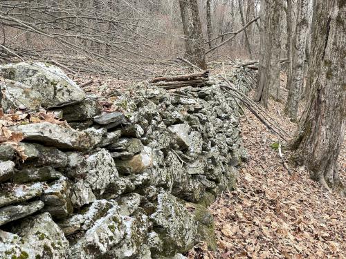 stone wall in January at Leffingwell Hill in New Hampshire