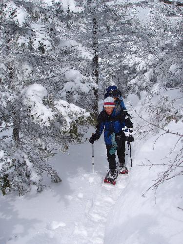 winter trail to Mount Liberty in New Hampshire