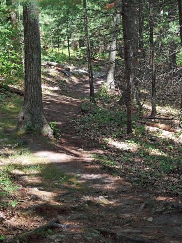 trail at Lime Kiln Quarry near Chelmsford in northeast MA