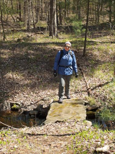 Andee on a stone footbridge at Linkel Woods in Pepperell, MA