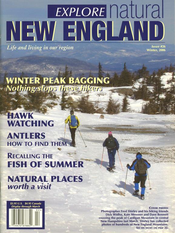 Natural New England Winter 2006 Cover