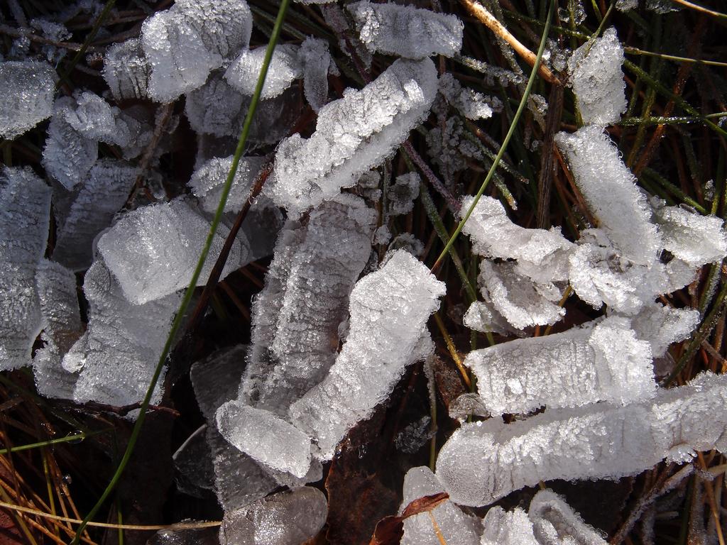 ice crystals on Abbott Mountain in Maine