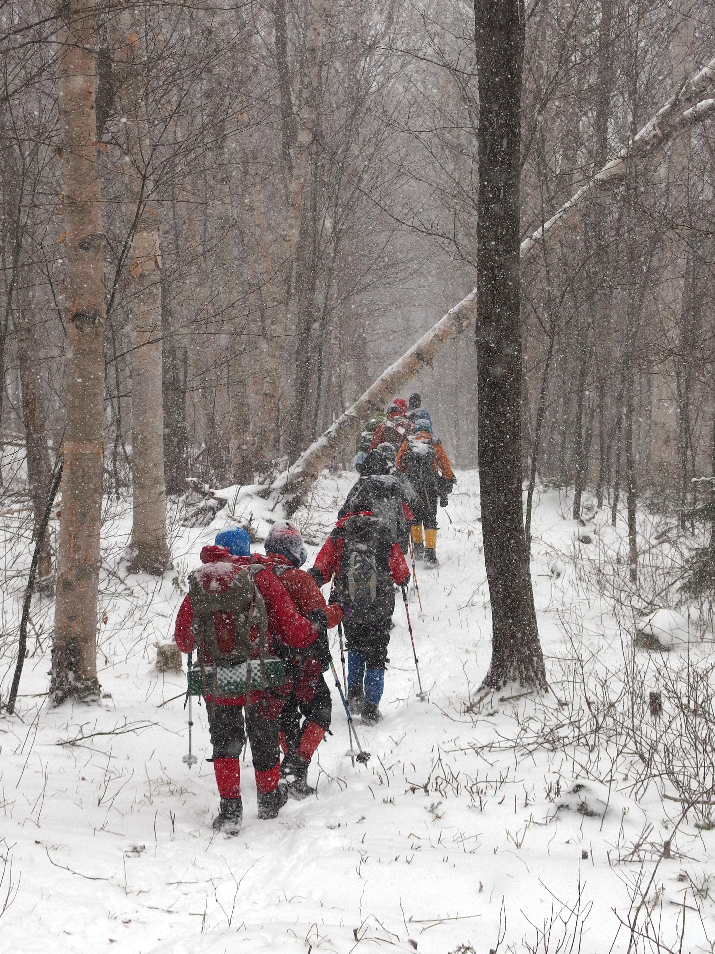 winter hikers pass through a snow squall on the trail to Mount Hale in New Hampshire
