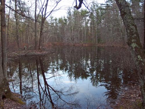 Hopping Frog Pond in April at Litchfield State Forest in southern New Hampshire