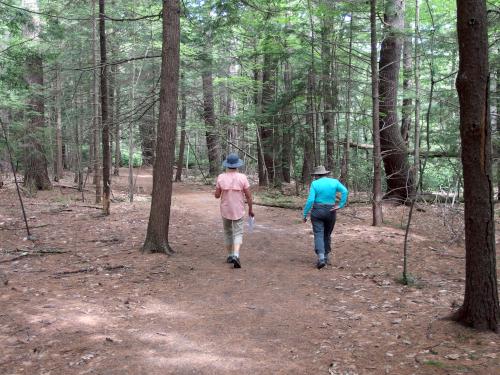 Andee and Cathy on the trail to Little Monadnock Mountain in New Hampshire