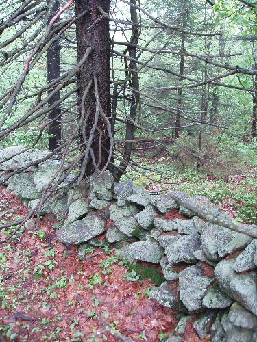 stone wall along the trail to Little Monadnock Mountain in New Hampshire