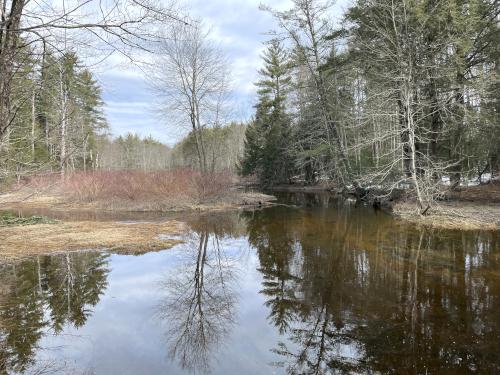 Little River in March at Little River Conservation Area in southeast New Hampshire