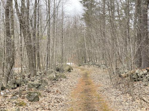 trail in March at Little River Conservation Area in southeast New Hampshire