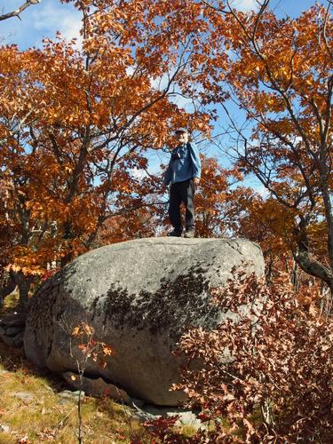 Lance atop Little Watatic Mountain in northeastern Massachusetts