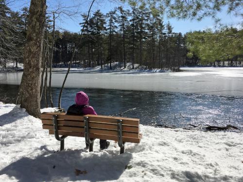 Andee enjoys the view in March from a pond-side bench at Livingston Park in southern New Hampshire