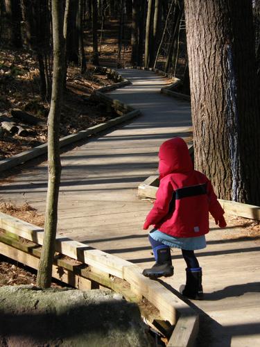 young visitor on the boardwalk at Livingston Park in New Hampshire
