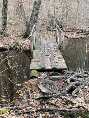footbridge in November at Long Lake Park in northeast Massachusetts
