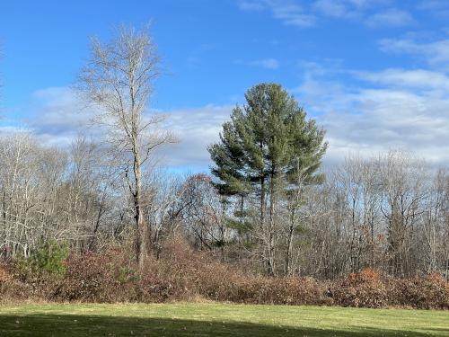 field in November at Long Lake Park in northeast Massachusetts