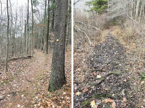 trails in November at Long Lake Park in northeast Massachusetts