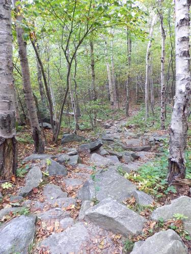 section of the Long Trail near Cape Lookoff Mountain in Vermont