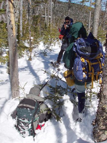 Bill is caught in a spruce trap while bushwhacking in March to Mount Lowell in New Hampshire