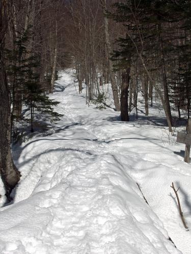 trail in April to Lowe's Bald Spot near Pinkham Notch in New Hampshire