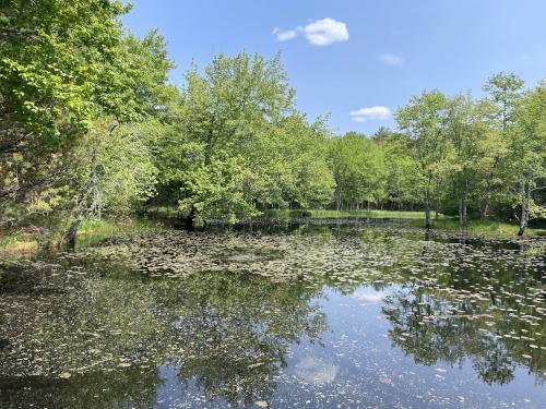 Lunden Pond in May at near Monson in south-central MA