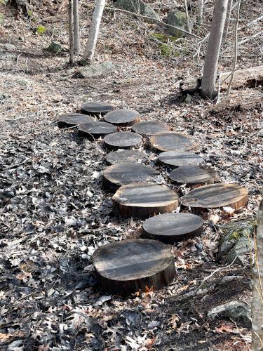 steps in February at Lynn Woods Reservation in northeast Massachusetts