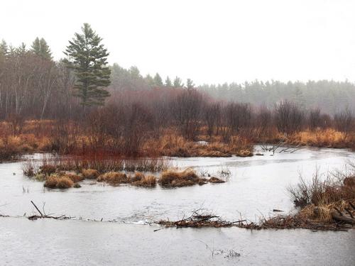 upper section of the Edward MacDowell Lake Flood Control Area at Peterborough in southwestern New Hampshire