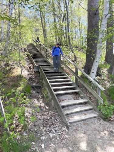 stairs in May at Mackworth Island near Portland in southern Maine