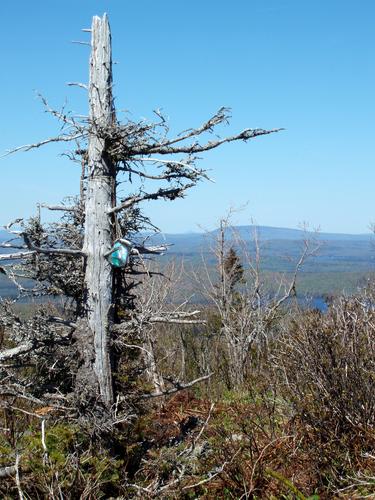 glass-jar canister on the summit of West Magalloway Mountain in New Hampshire