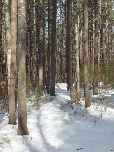 trail in February to Marble Hill near Stow in northeastern Massachusetts
