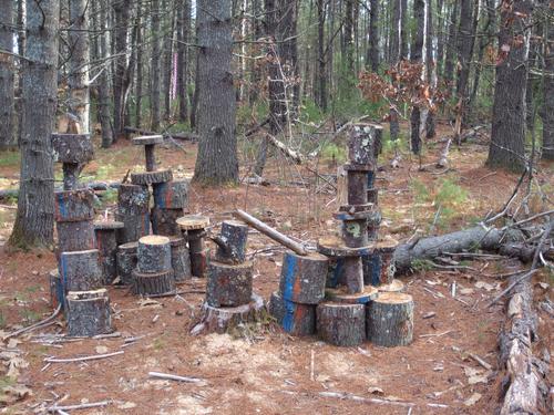 a different kind of cairn in December at Mast Yard State Forest in southern New Hampshire