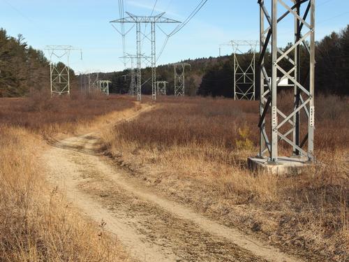a hiking trail wiggles through a powerline corridor at Mast Yard State Forest in southern New Hampshire