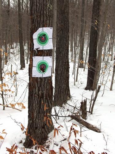 gun targets in the woods on the way to McCoy Mountain in southern New Hampshire