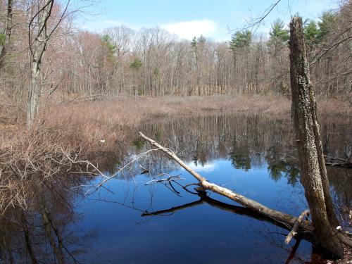 pond in April on the Peanut Rail Trail in southeast New Hampshire