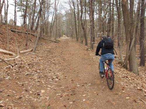 trail in April on the Jay McLaren Rail Trail in northeast Massachusetts