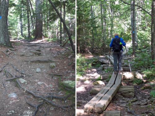 trail to Mount Megunticook in Maine