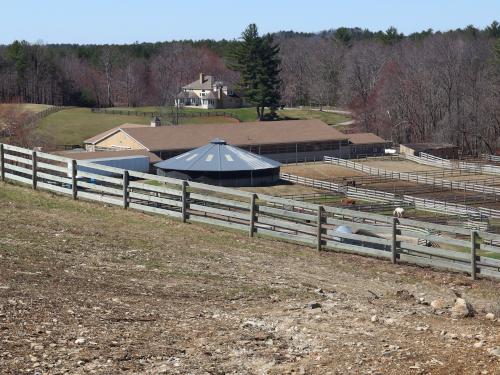 horse farm in April at Merrimac Town Forest near Merrimac in eastern Massachusetts