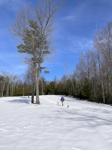 trail in March at Michaela's Way Loop in southern New Hampshire