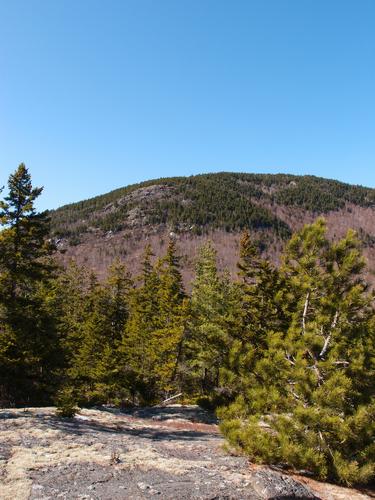 view up the ridge from Middle Mountain in New Hampshire