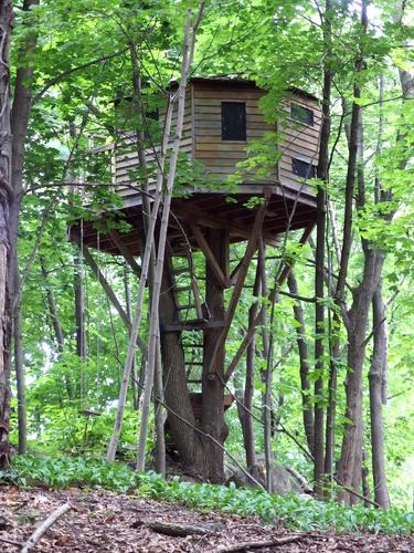 fine treehouse on private property adjacent to the Skyline Trail at Middlesex Fells Reservation in eastern Massachusetts