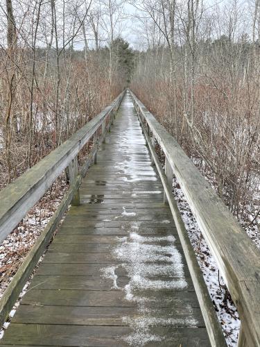 boardwalk in January at Manchester-Essex Wilderness Conservation Area near Essex in northeast Massachusetts