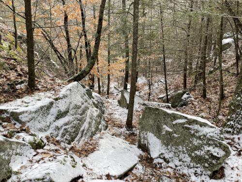 Baby Rock Trail in January at Manchester-Essex Wilderness Conservation Area near Essex in northeast Massachusetts
